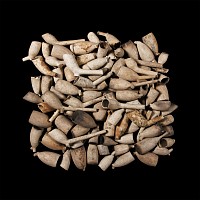 Post Medieval Pipe Bowl Group Including Armorials