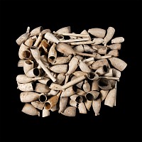Post Medieval Clay Pipe Bowl Group Including Armorials