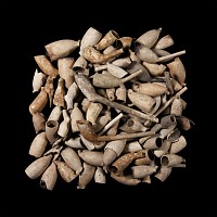 Post Medieval Clay Pipe Bowl Group Including Armorials