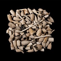 Post Medieval Clay Pipe Bowl Group Including Armorials