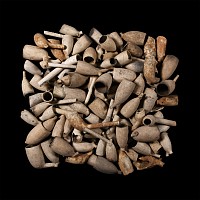 Post Medieval Clay Pipe Bowl Group Including Armorials
