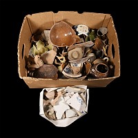 Medieval and Later Pottery Fragment Group