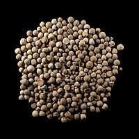 Post Medieval Lead Musket Ball Group