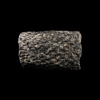 Natural History - Lepidodendron Fossil Tree Trunk Section