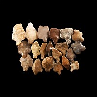 Stone Age Aterian Tanged Arrowhead Group