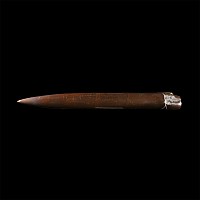 Natural History - Very Large Polished Fossil Belemnite