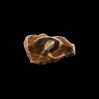 Stone Age Upnor / Twydall Flint Implement