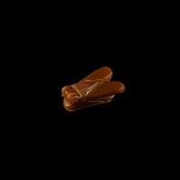 Egyptian Carnelian Fly Amulet