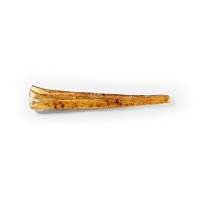 Natural History - Insects in Copal