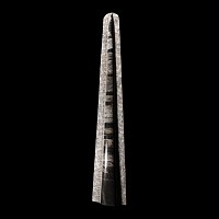 Natural History - Polished Orthoceras 'Rocket' Display