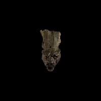 Roman Bronze Lion Fitting