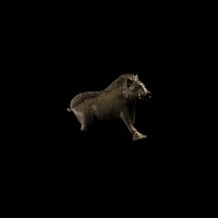 Iron Age Celtic Bronze Boar