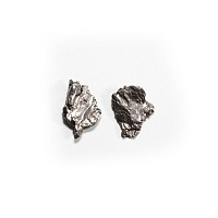Natural History - Campo del Cielo Meteorite Group