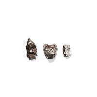 Natural History - Campo del Cielo Meteorite Group