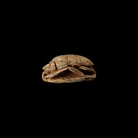 Egyptian Steatite Scarab