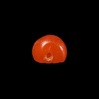 Sassanian Carnelian Stamp Seal