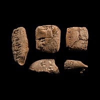 Mesopotamian Cuneiform Tablet Fragment Collection