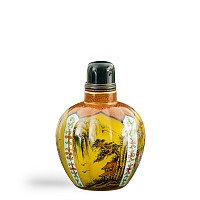 Chinese Glass Enamelled Four Scene Snuff Bottle