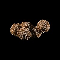 Natural History - Large Selenite 'Desert Rose' Crystal Cluster