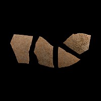 Natural History - Giant Elephant Bird Eggshell Group