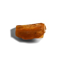 Natural History - Polished Copal with Insects