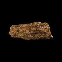 Natural History - Triceratops Dinosaur Frill Bone Section