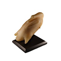 Egyptian Alabaster Trussed Duck