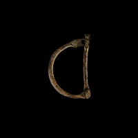 Post Medieval Bronze Animal Shackle