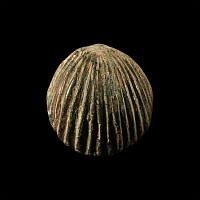 Roman Bronze Scallop Shell Mount