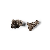 Natural History - Campo Del Cielo Iron Meteorite Pair