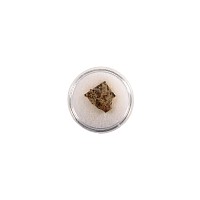 Natural History - NWA 2947 Chondrite Meteorite Slice in Gem Case