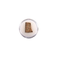 Natural History - NWA 073 L6 Chondrite Meteorite Slice in Gem Case