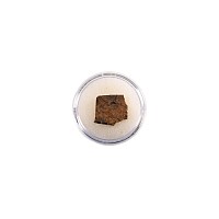 Natural History - NWA 073 L6 Chondrite Meteorite Slice in Case