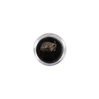 Natural History - NWA 869 L6 Chondrite Meteorite in Gem Case