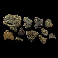'The Braintree' Bronze Age Axehead and Foundry 'Carp's Tongue/Ewart Phase' Hoard