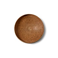 Nabataean White Ground Dish with Painted Foliage