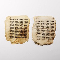Vellum Manuscript Page Group