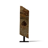 Natural History - Fossilised Poplar Leaf
