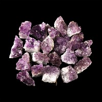 Natural History - Amethyst Crystal Geode Section Group [20]