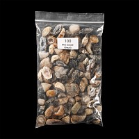 Natural History - Mini Agate Crystal Geode Half Group [100]
