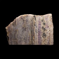 Natural History - Unpolished Cut Amethyst Crystal Geode Slice Pair