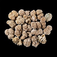 Natural History - Large Desert Rose Specimen Group [20]