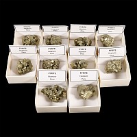 Natural History - Boxed Pyrite 'Fool's Gold' Crystal Specimen Group [10]