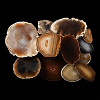 Natural History - Cut and Polished Agate Crystal Geode Half and Slice Group [10]