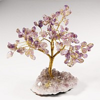 Natural History - Amethyst Crystal Gem Tree