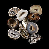 Natural History - Mixed Cut and Polished Agate Crystal Geode Half Group [10]