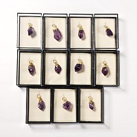 Natural History - Boxed Amethyst Crystal Pendant Group [11]