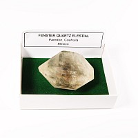Natural History - Boxed Fenster Quartz Elestial