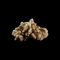 Natural History - Boxed Historic Quartz Crystal 'Flower' Specimen