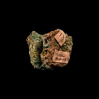 Natural History - Boxed Historic Leadhills Pyromorphite Crystal Specimen